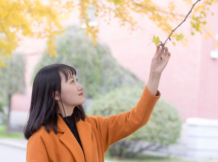 菲律宾旅游季节(旅游最佳季节)